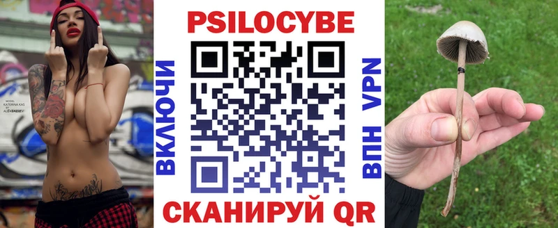 Псилоцибиновые грибы мицелий  Гаджиево 